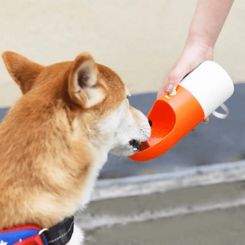 дорожная поилка.png